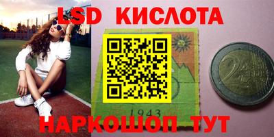 прущие грибы Комсомольск-на-Амуре