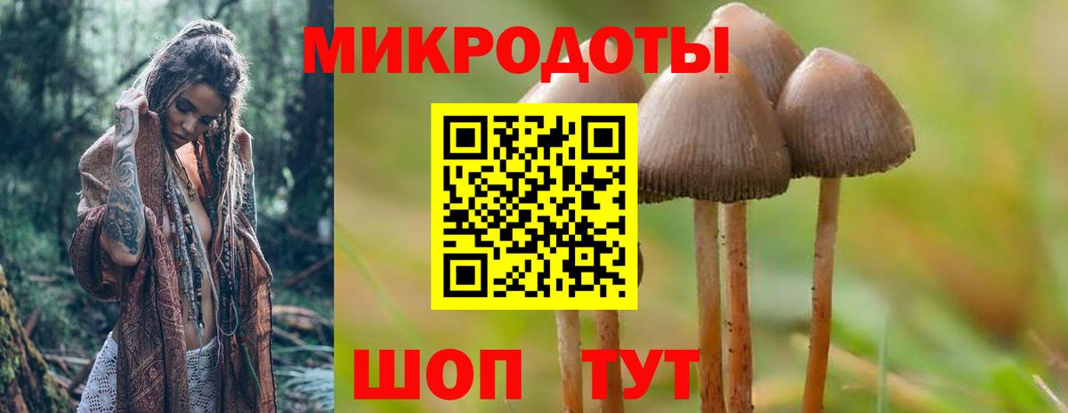 что такое наркотик  Вход с VPN  Галлюциногенные грибы мицелий  Краснодар  Псилоцибиновые грибы GOLDEN TEACHER 